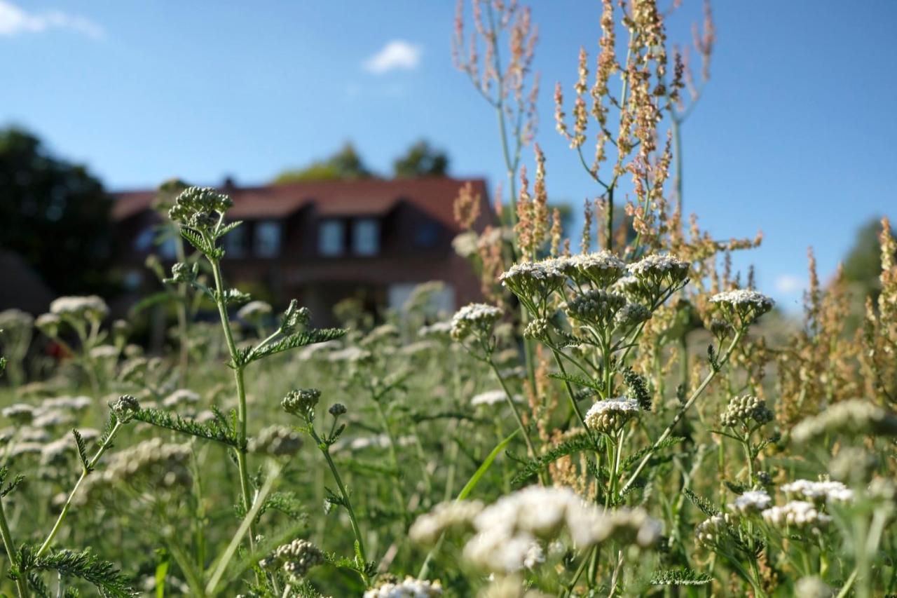 Ferienwohnung Mohnblume Pulzig Exterior photo