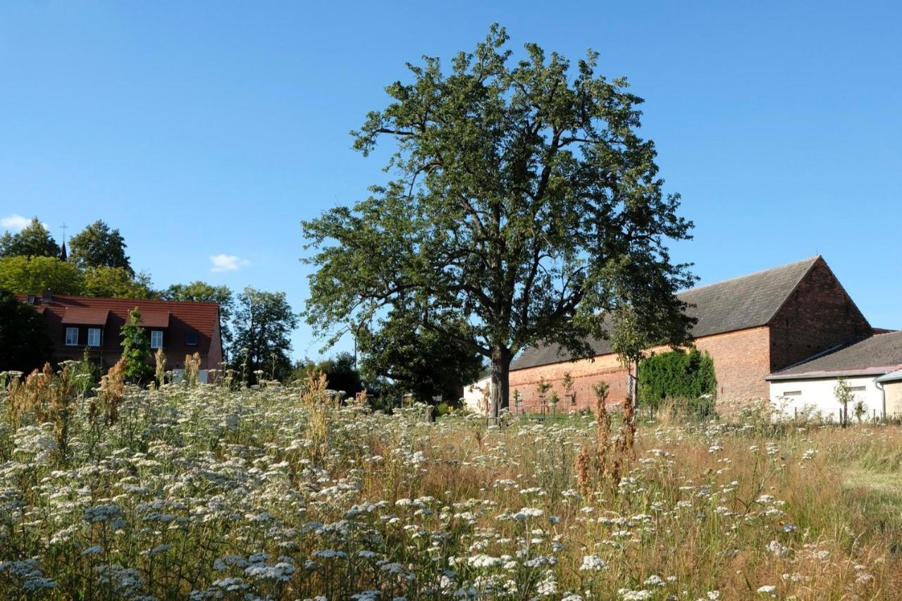 Ferienwohnung Mohnblume Pulzig Exterior photo